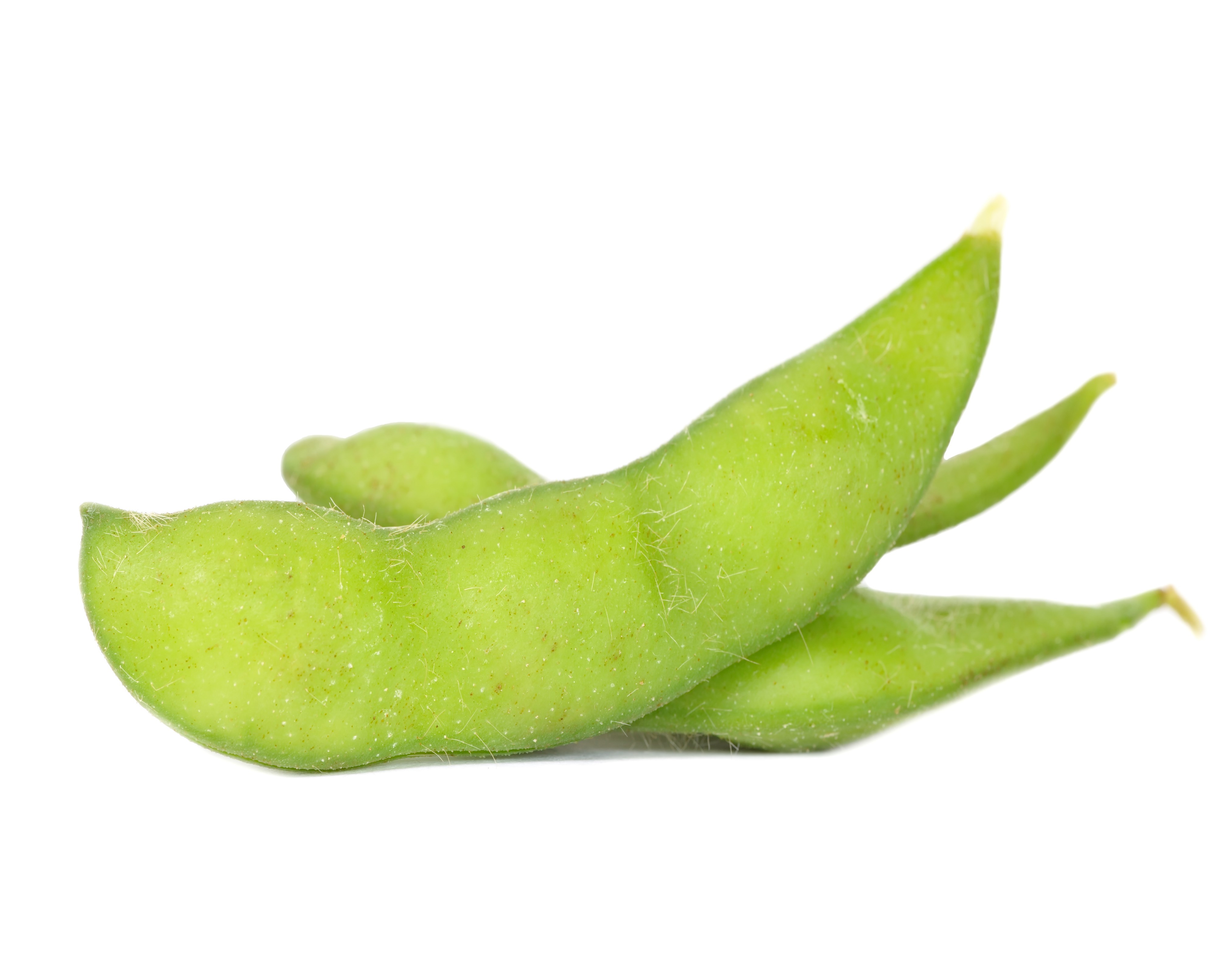 IQF EDAMAME IN-PODS