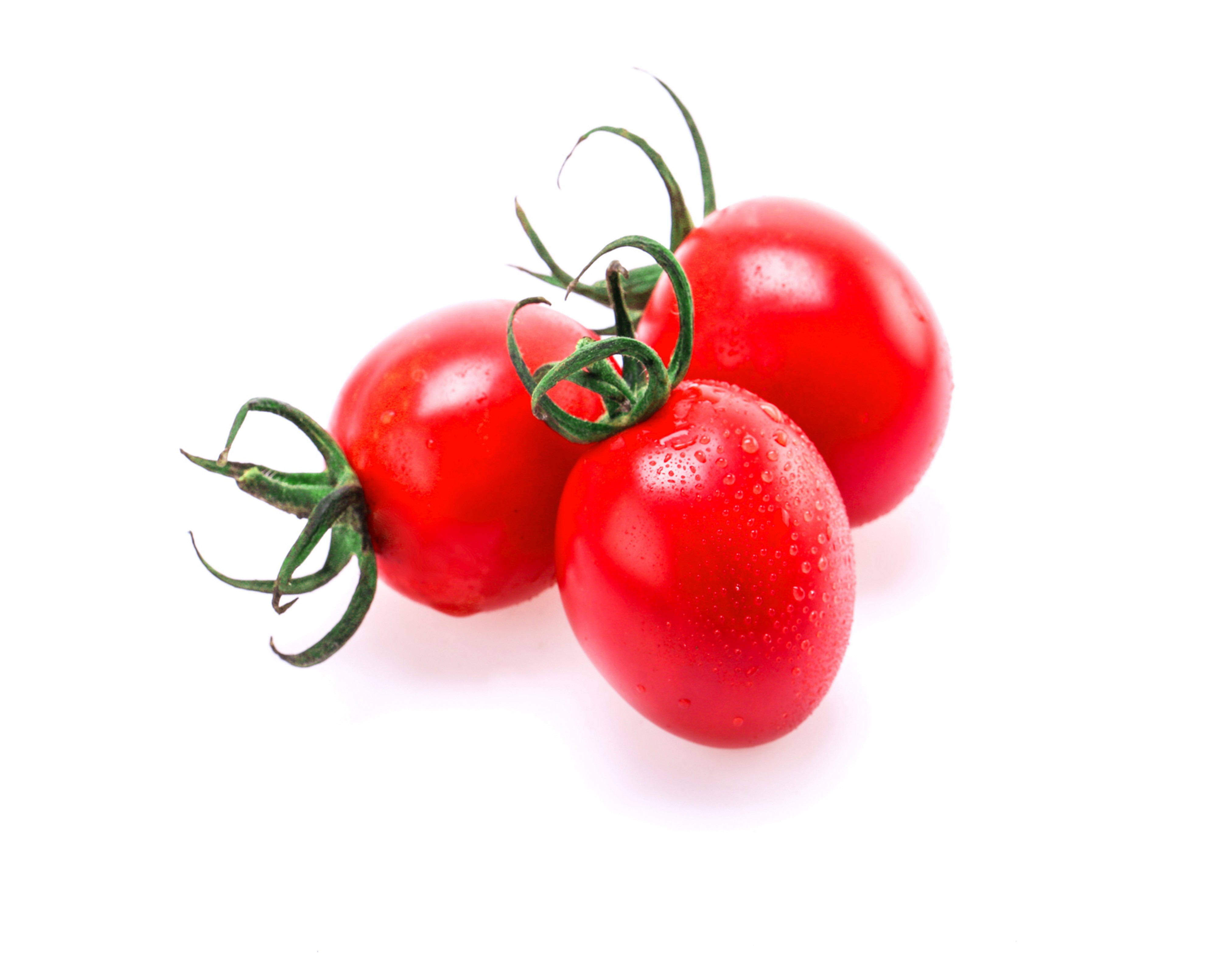 Tomato