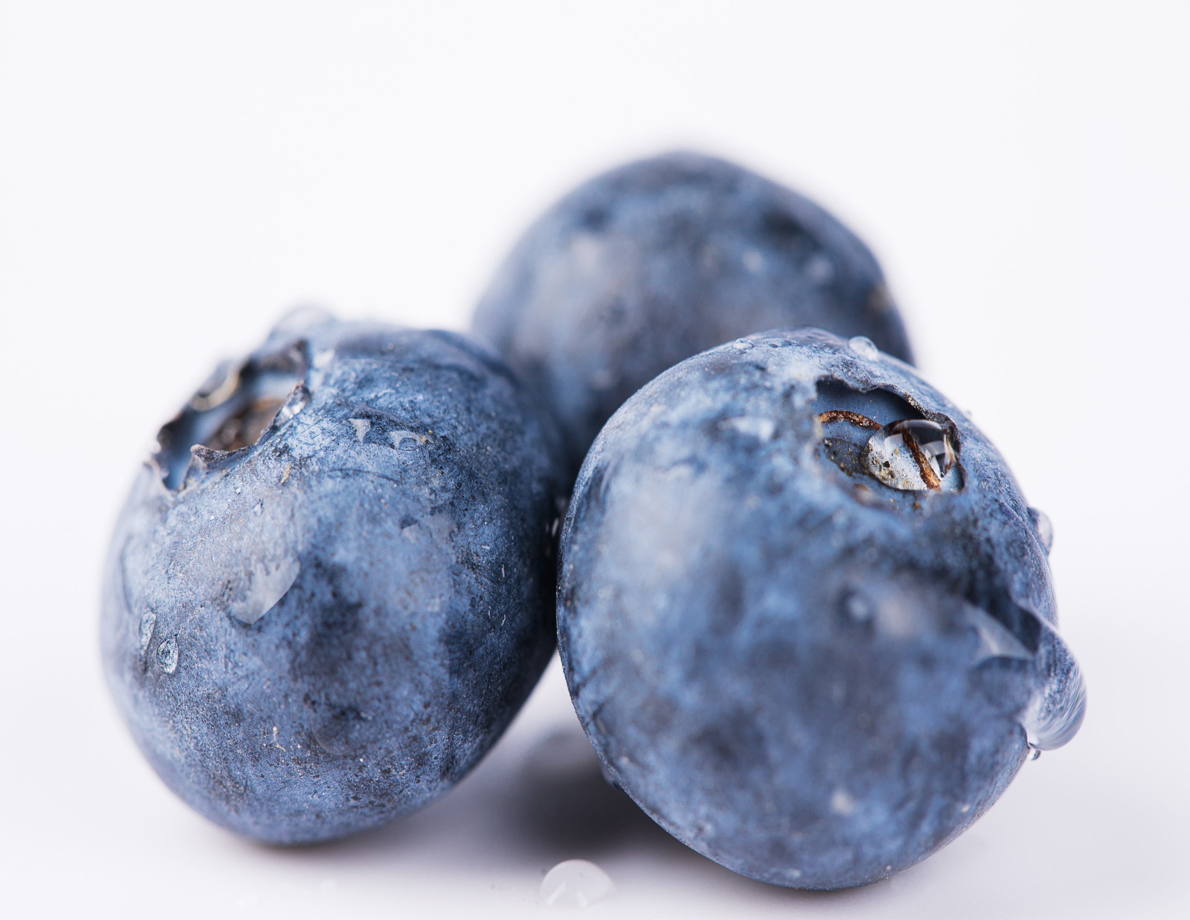 Blueberry